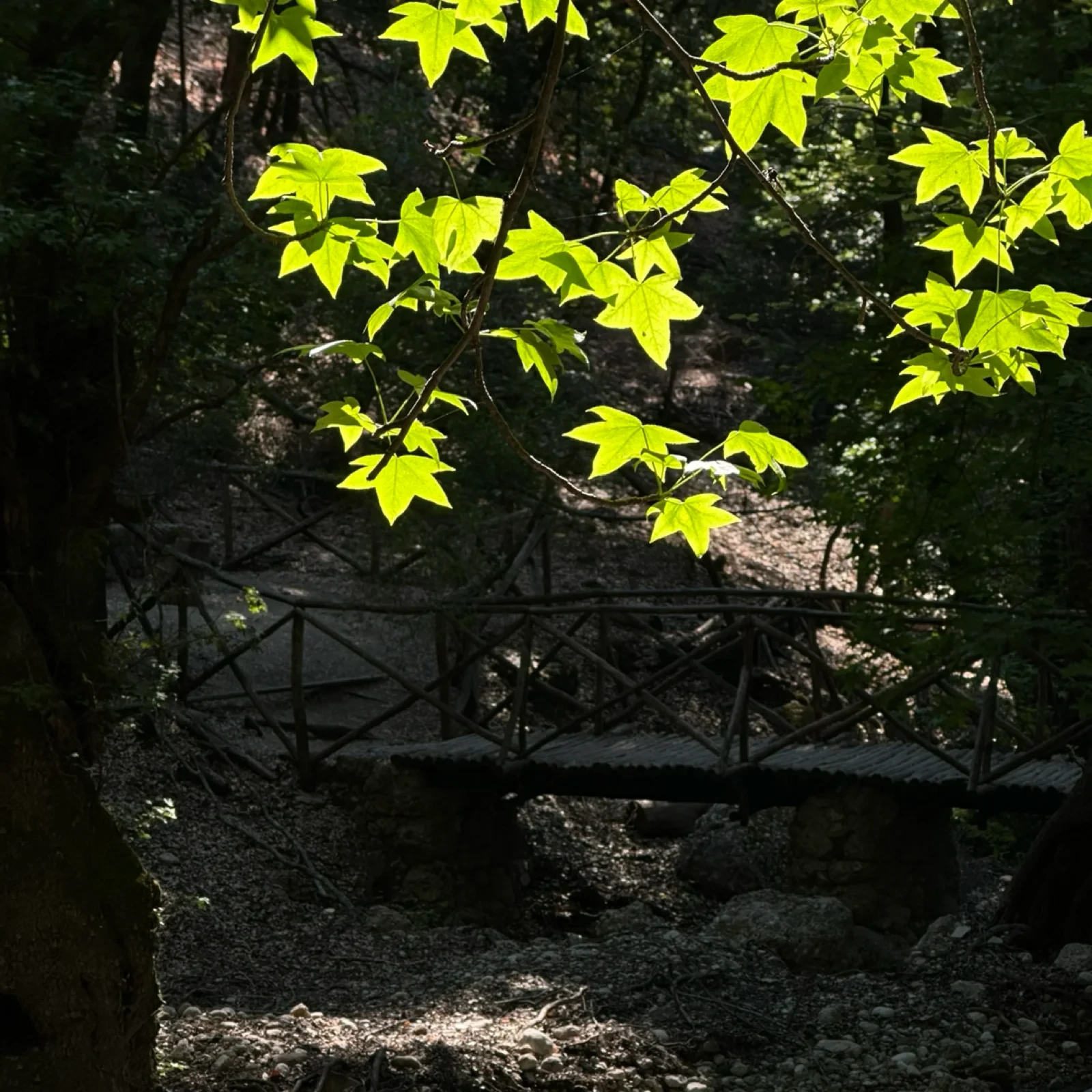 Profile Cover